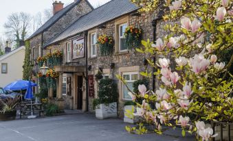 a brick building with flower arrangements hanging from the windows , creating a charming and inviting atmosphere at George Inn