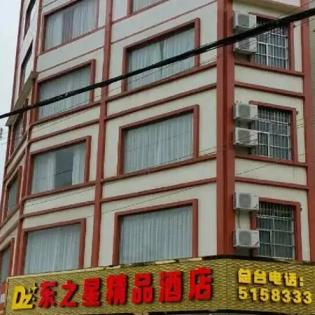 Tiandong Dongzhixing Boutique Hotel