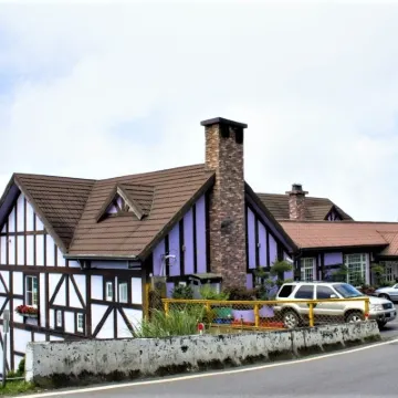 Maple Leaf Holiday Villa Hotels near Qingjing Farm