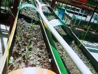 理县玉龙嘉绒风情山庄 - 公共区域