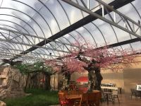 海晏蕃域温泉养生酒店 - 公共区域
