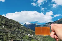 Siguniang Mountain Xidu International Youth Hostel