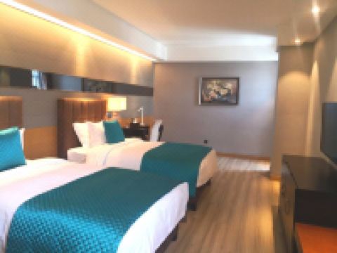 西安银朵国际酒店 - 雅致双床房