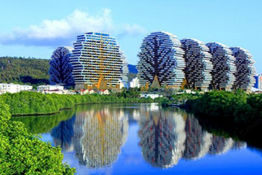 大树度假酒店(三亚美丽之冠店)