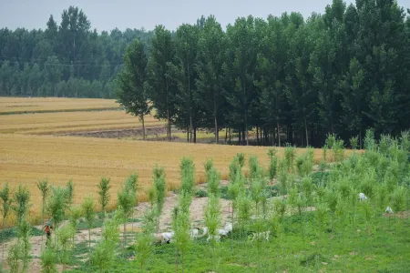 Jiang Ziya's Pier Hotel