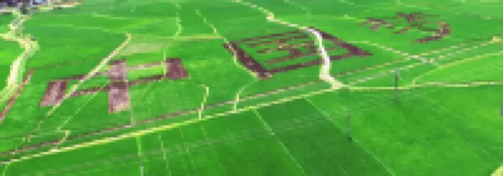 新化雄華寨農家樂