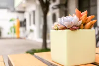 臺中踢·生活背包客棧 東海大學周邊住宿飯店