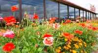 Meijing Holiday Hotel Hotels in Hexigten-Banner