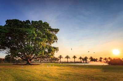 ホテル周辺 クラウンプラザ パースの写真