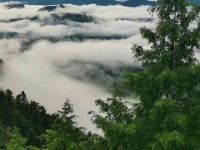 九华山阿鑫山庄 - 酒店景观