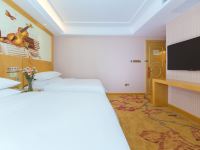 维也纳国际酒店(武汉华中科技大学佳园路地铁站店) - 高级双床房