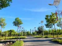 Ejina Jiashu Homestay