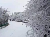 衡阳南岳衡山龙景山庄 - 酒店附近