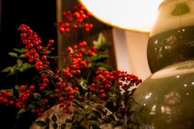 その他 和モダンな温泉旅館 湯布院らんぷの宿の写真