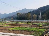 北京又见艺术乡村民宿 - 酒店附近