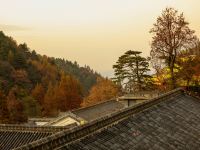 九华山顺达云居民宿 - 酒店景观