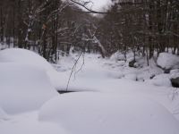 雪谷雪尚云居客栈 - 酒店附近
