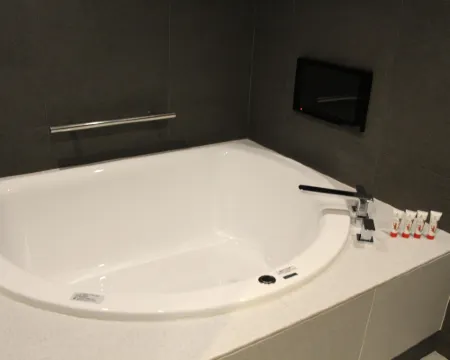 The Blossom Hibiya Rooms Photos