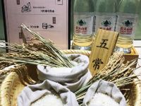 全季酒店(天津梅江会展中心店) - 其他