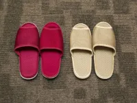 Dormy Inn Premium Shibuya Jingumae Hot Spring