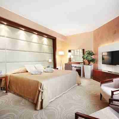 明斯克維多利亞水療飯店 Rooms