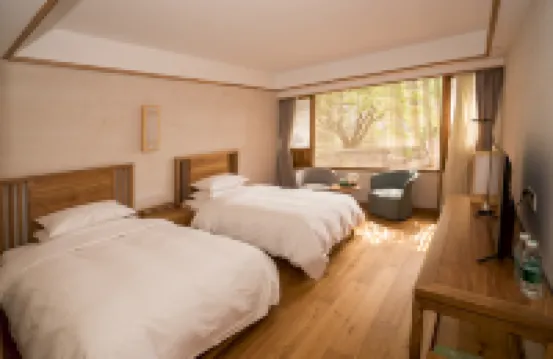 Two Trees Boutique Hostel