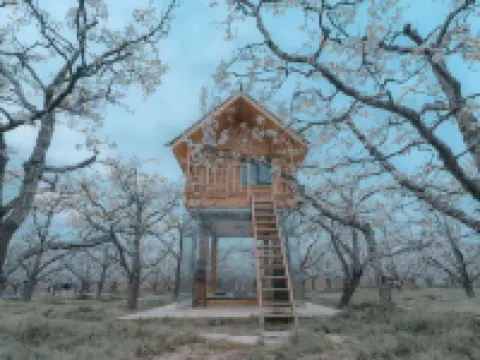 Lishu Tent Hotel Hotels in Dangshan