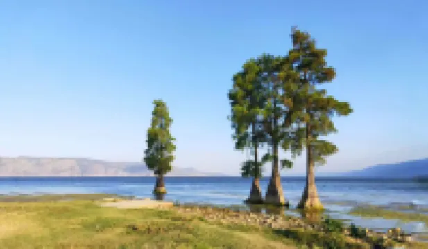 大理古城空想美宿