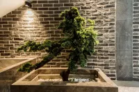 86 Yuechao Yunman Hotel