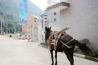 Shuanglin Bozai Farmer House No.5 Villa