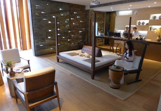 복시아 122 이미지