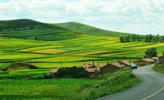 Zhangbei Grassland Road Wild fox ridge Bo Feng Farmhouse