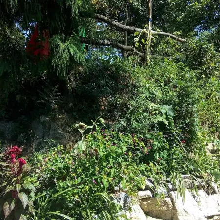 Huaying Yeshenggu Farm Stay