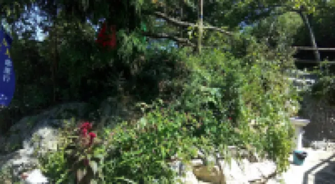 Huaying Yeshenggu Farm Stay