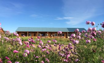 Enhe Ranch International Youth Hostel