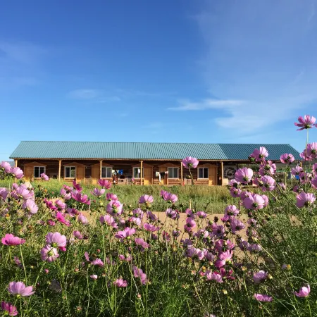 Enhe Ranch International Youth Hostel