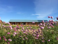 Enhe Ranch International Youth Hostel Hotels in 
