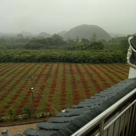 Guilin Cheryou Restaurant (Overseas Chinese Farm shop)