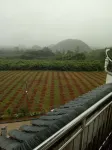 Guilin Cheryou Restaurant (Overseas Chinese Farm shop) - con vista montagne