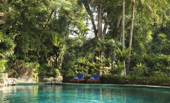 Hotel Tjampuhan Spa