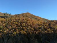 北京王永珍农家院