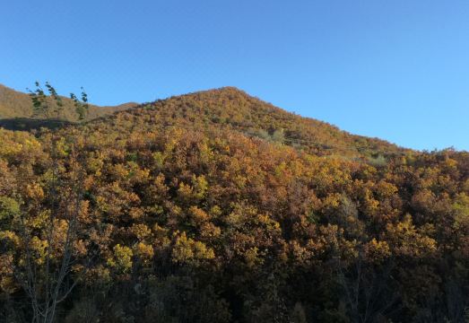 라바거우먼 풍경
