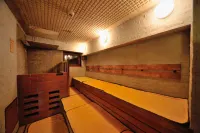 東京淺草多美迎快捷酒店（多美迎・御宿野乃 酒店集團） - SPA