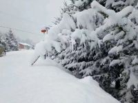 雪谷小云农家院 - 酒店附近