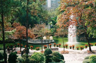 ホテル周辺 エースサイト ナッツフォード ホテルの写真