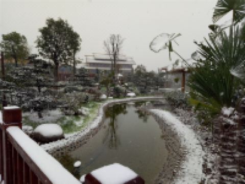 鄢陵金雨玫瑰庄园酒店 - 酒店附近