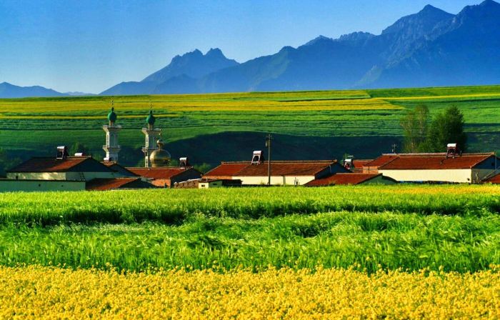 Shili Chunfeng Youcaihua Inn