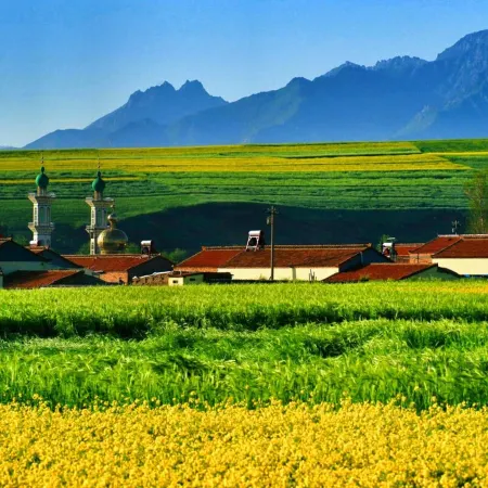 Shili Chunfeng Youcaihua Inn