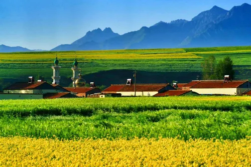 Shili Chunfeng Youcaihua Inn - Pet friendly