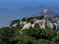 罗田嘉佳山庄 - 大床房